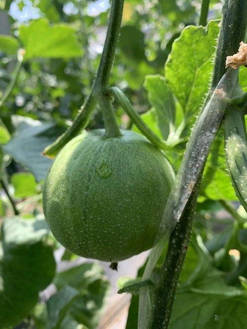 娱乐吃瓜公司,揭秘娱乐圈幕后那些事儿  第2张