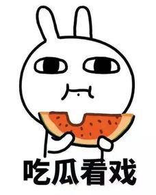 娱乐吃瓜酱酸,揭秘娱乐圈背后的酸辣故事  第3张