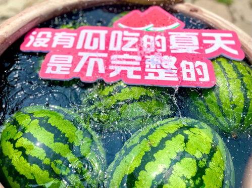 大型吃瓜现场图,揭秘娱乐圈幕后风云  第3张